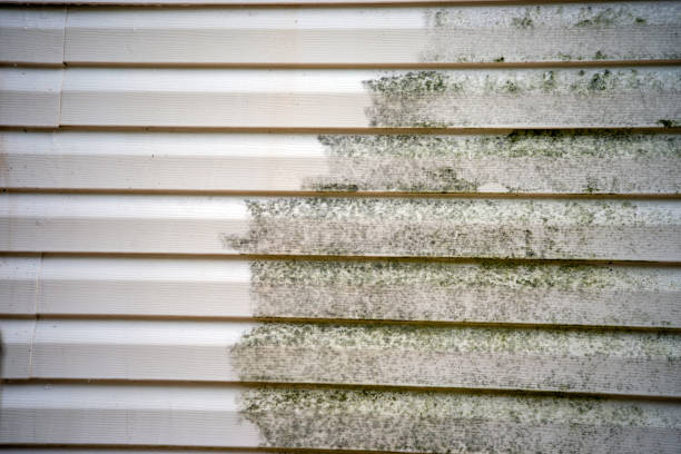 Reliable Beesleys Point, NJ Siding Installation & Repair Solutions