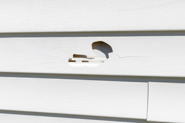 Best Brick Veneer Siding  in Beesleys Point, NJ