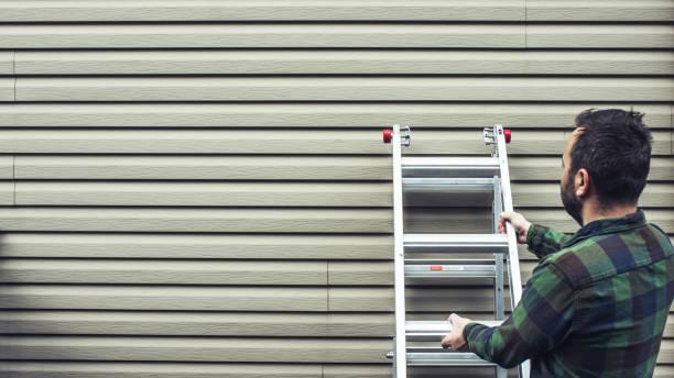 Best Steel Siding Installation  in Beesleys Point, NJ