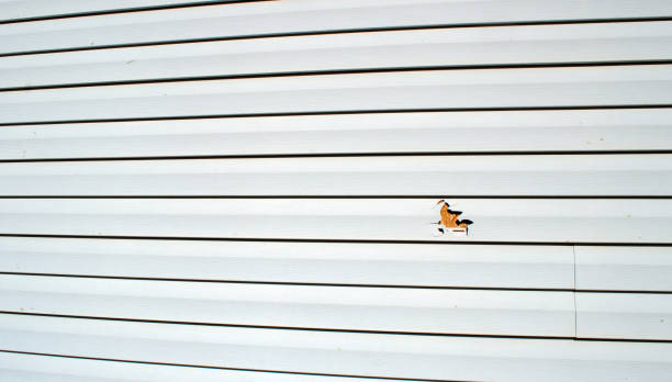 Best Siding Removal and Disposal  in Beesleys Point, NJ